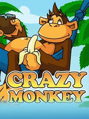 Crazy Monkey