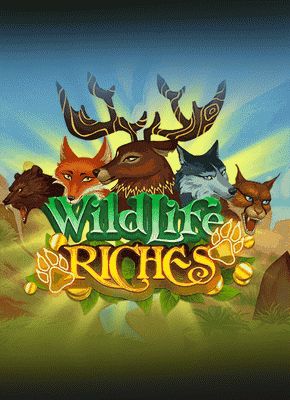 Wildlife Riches